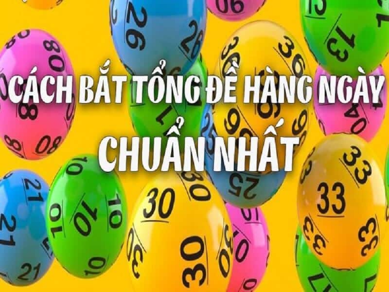 Tổng đề là gì ?