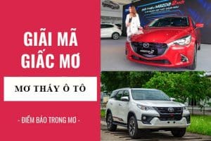 Ngủ mơ lái xe ô tô